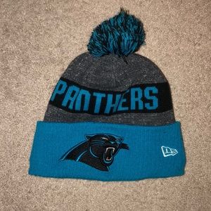 Panthers Beanie